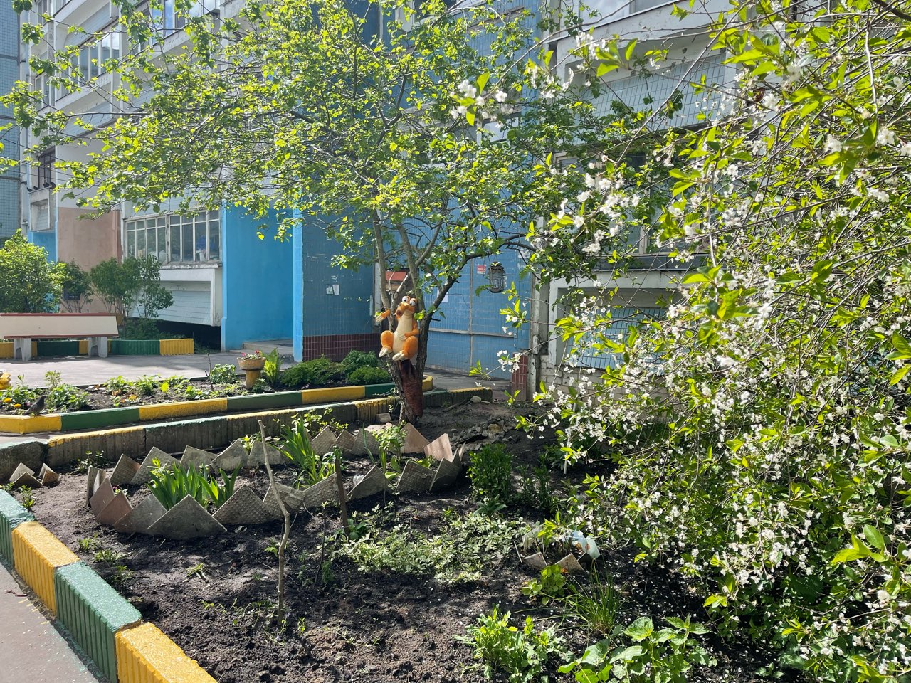 Кинопоказы организуют во дворах Нижнего Новгорода с 1 августа - фото 1