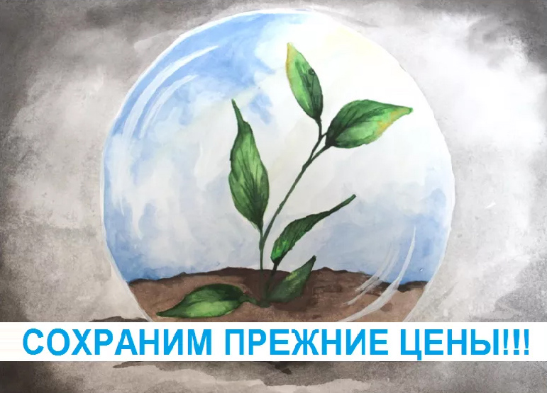 Ростовская строительная компания «Кристина» заморозила цены на квартиры до конца карантина