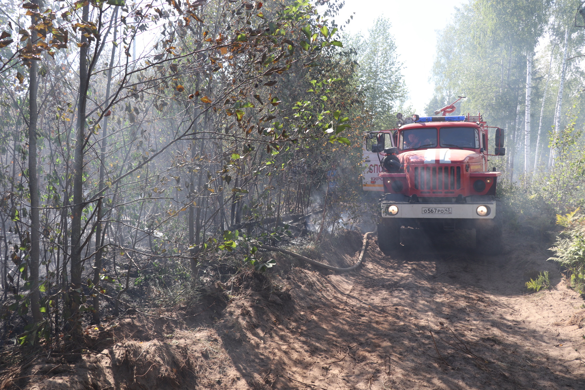 Очаги пожаров появились в районе Мулинского полигона в Нижегородской области - фото 1