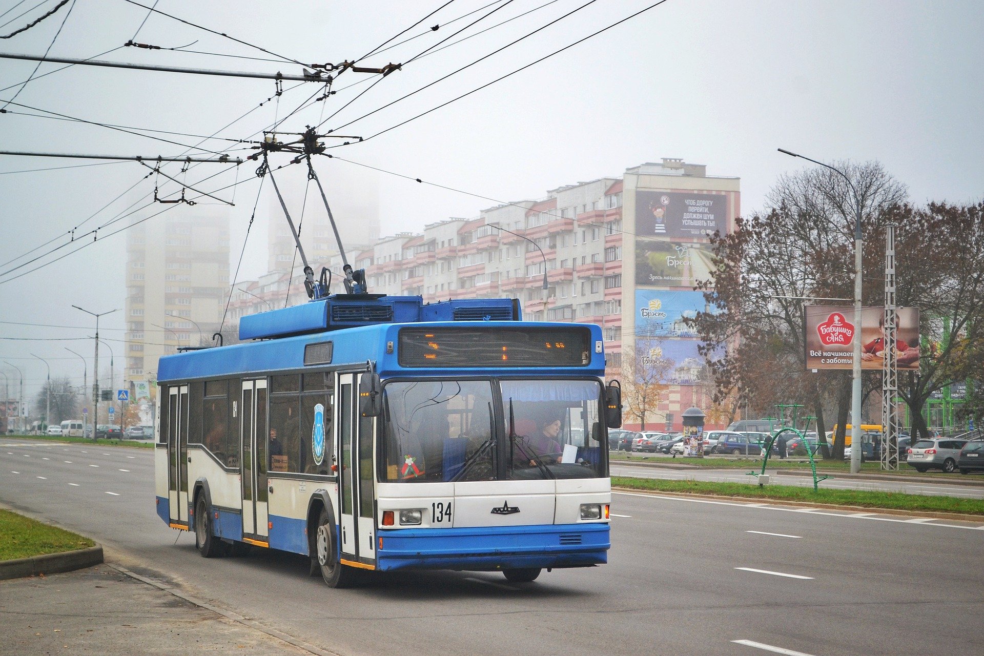 Троллейбус №17 вернулся на линию в Воронеже - фото 1