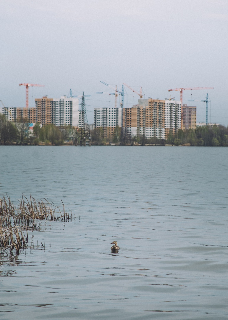 ГК «Развитие» отстояла в суде право аренды 2 га на берегу воронежского водохранилища 