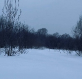 Ход строительства дома 3, секция 3.1 в ЖК Расцветай в Новолуговом -