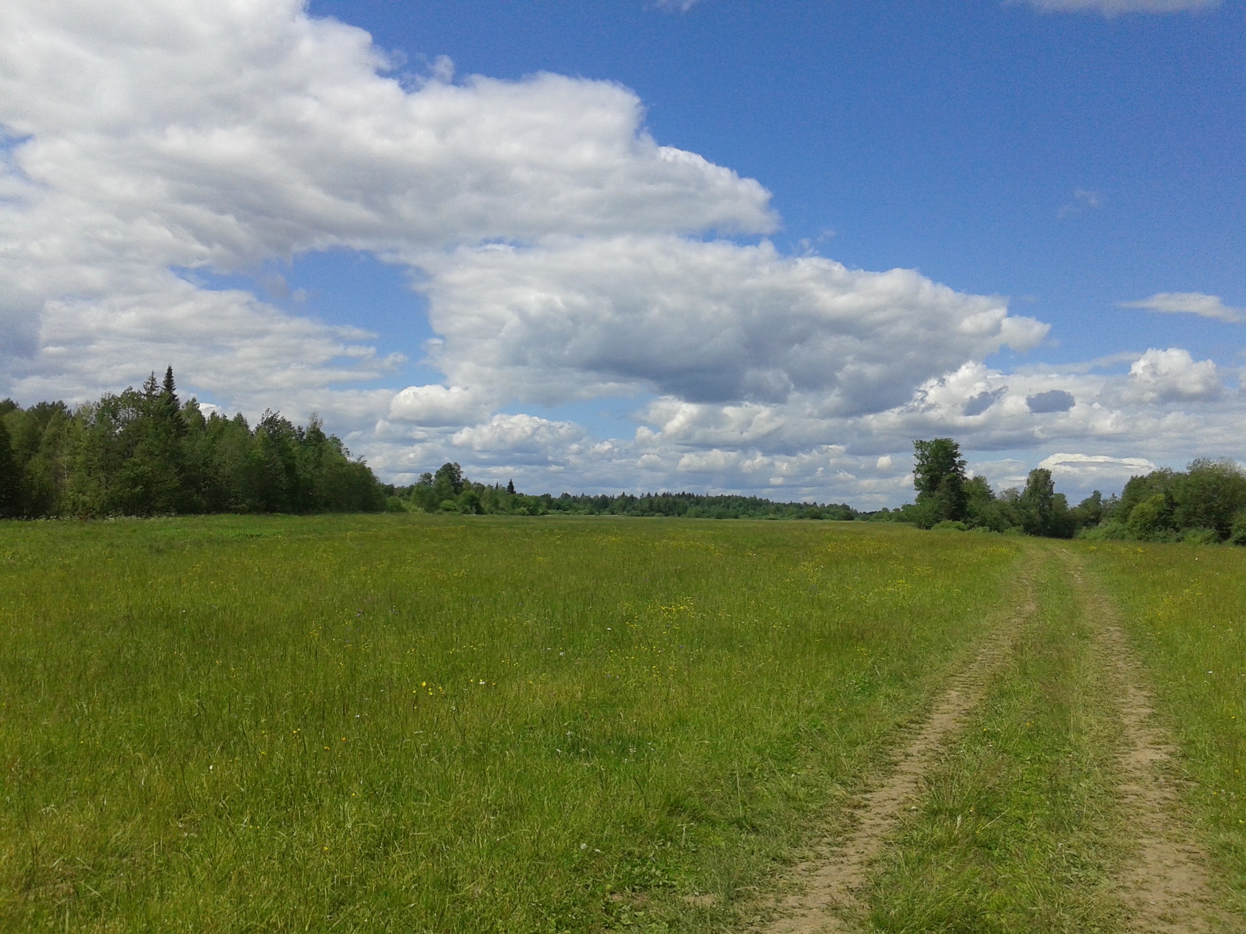 Нижегородской гектар. Нижегородская земля.