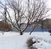 Ход строительства дома 1 в Клубный дом Дуалист -