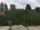 ЖК Новиков - ход строительства, фото 48, Август 2020