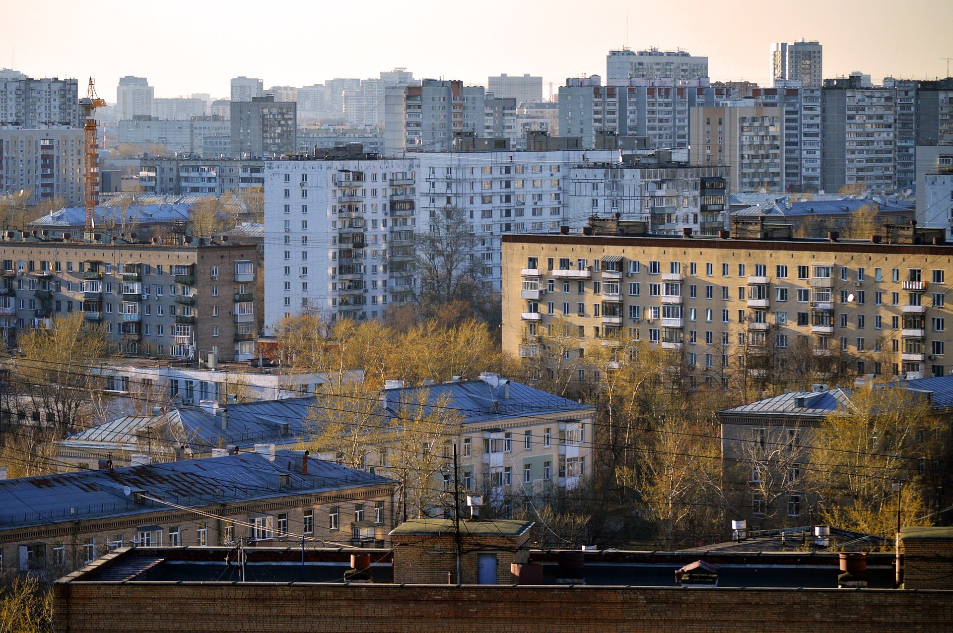 Воронежские власти намерены снова повысить стоимость квартир для детей-сирот - фото 1