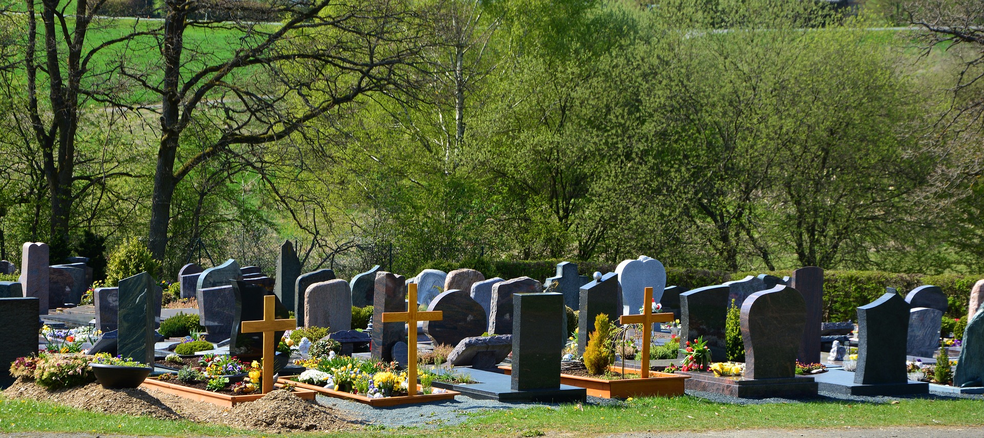 В мэрии Воронежа объяснили безымянные захоронения на Берёзовском кладбище - фото 1
