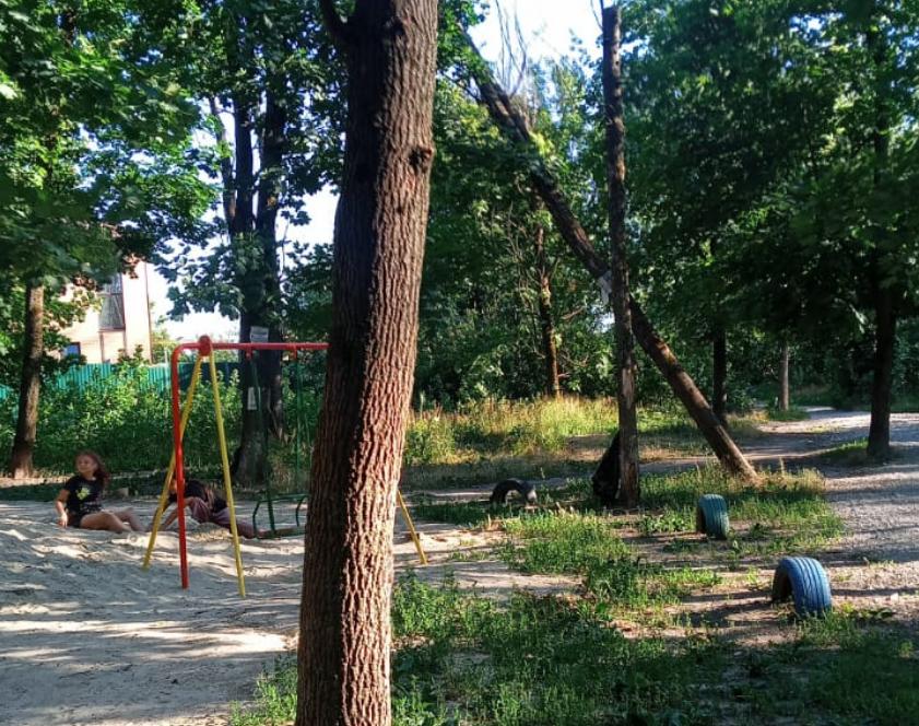 Нависшее над детской площадкой сломанное дерево убрали в Ростове - фото 1